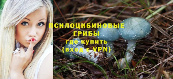 первитин Дмитров