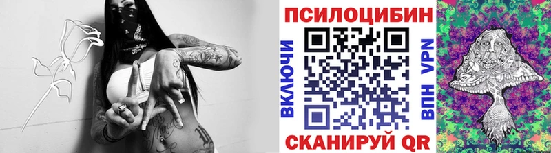 Купить  Тайшет  Галлюциногенные грибы Psilocybine cubensis
