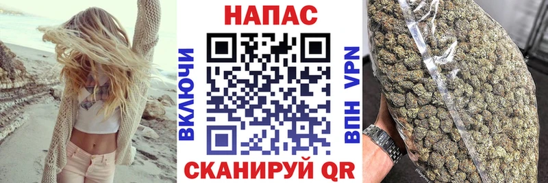 Купить закладки  Тайшет  Бошки марихуана конопля 